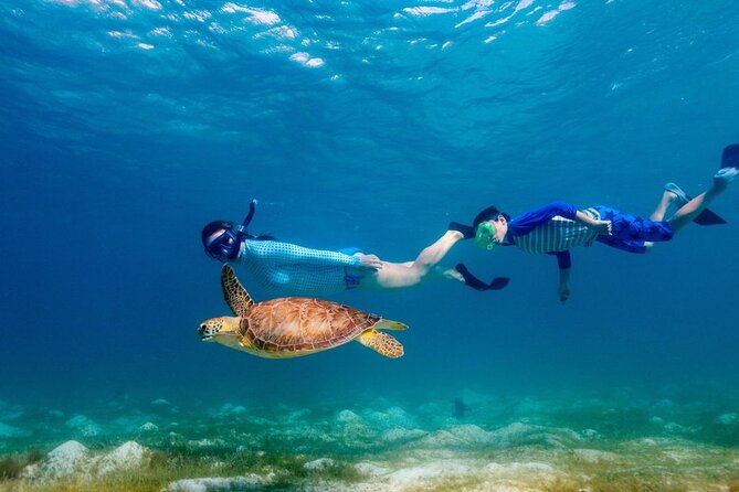 guided-snorkeling-trip-to-the-turtles-in-protaras
