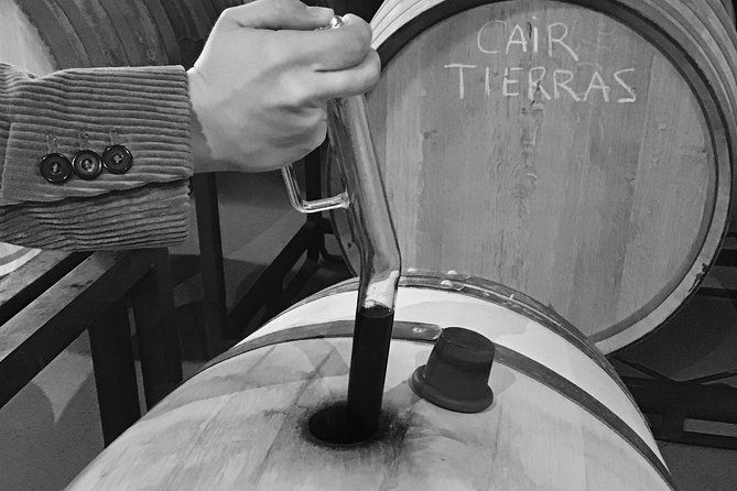 guided-tour-glass-in-hand-with-wine-tasting-directly-from-the-barrel