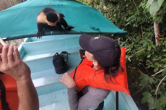 guided-tour-in-sloth-sanctuary-and-monkey-island