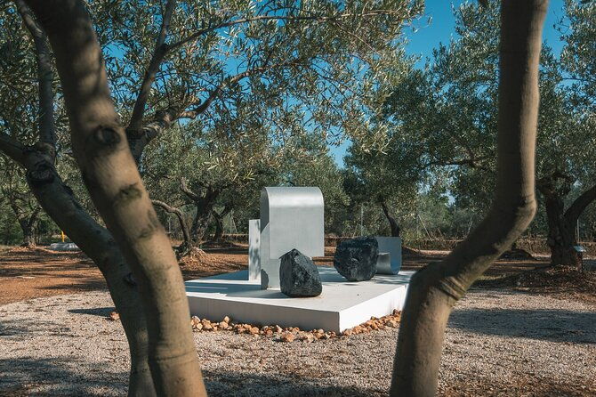 guided-tour-museum-of-contemporary-art-and-sculpture-park
