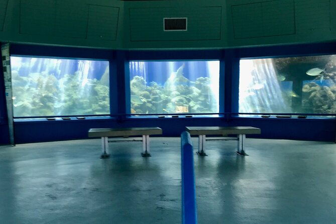 guided-tour-of-coral-world-ocean-park-happy-hour