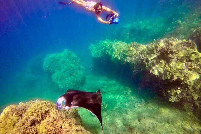 guided-turtle-town-snorkel-tour-with-sea-scooter-makena