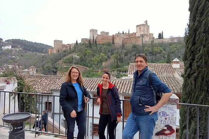 guided-walking-tour-with-panoramic-views-and-terraces-of-granada