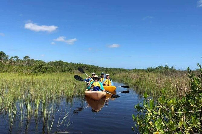 guided-wildlife-eco-kayak-tour-in-new-smyrna-beach