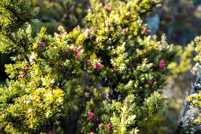 haleakala-crater-hiking-experience