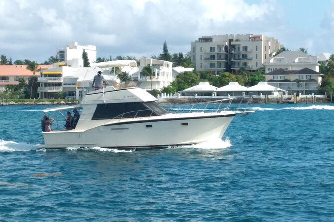 half-day-at-green-cay-bahamas-snorkeling-with-turtles