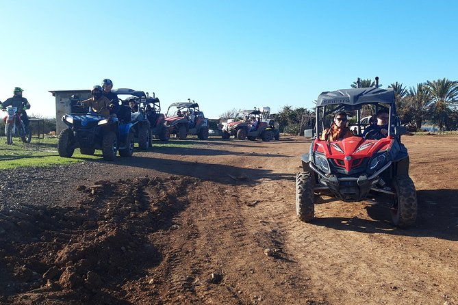 half-day-buggy-safari-to-akamas-peninsula-with-lunch
