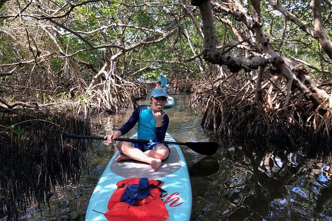 half-day-excursion-to-johns-pass-sandbar-mangrove-tunnel