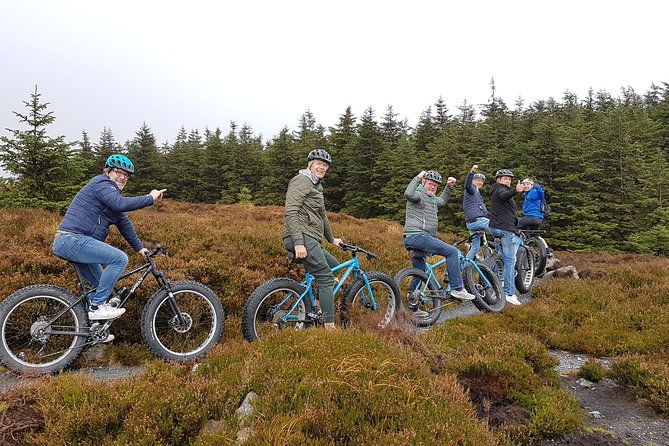 half-day-fatbike-tour-wicklow-ballinastoe