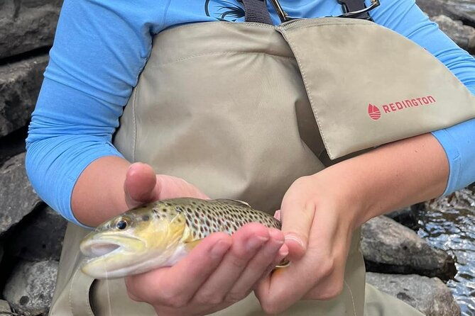 half-day-fly-fishing-lesson-on-clear-creek-near-denver