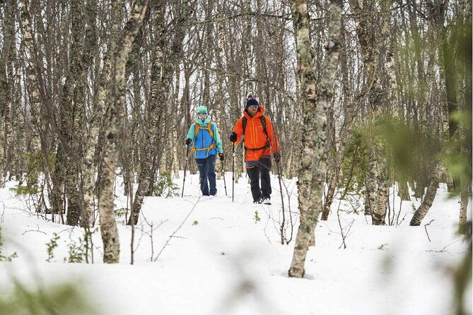 half-day-guided-snowshoe-tour-near-breckenridge