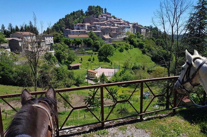 half-day-horseback-ride-in-tuscany-for-beginner-riders