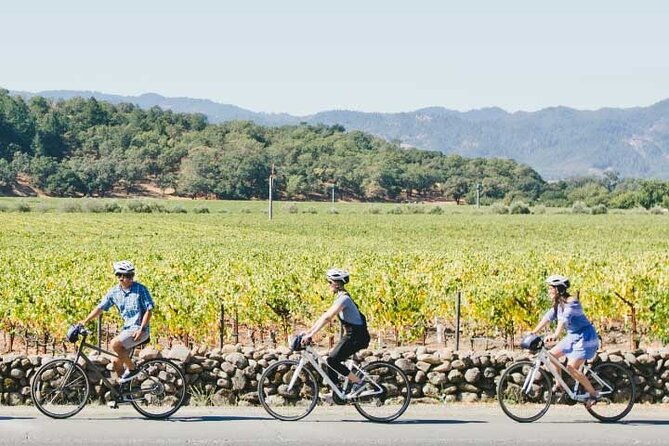 half-day-napa-valley-e-bike-tour