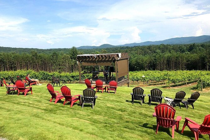 half-day-north-georgia-wine-country-tour-from-atlanta