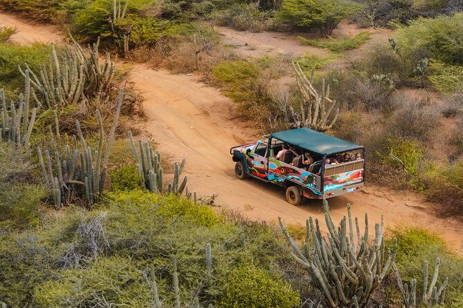 half-day-off-road-snorkel-safari