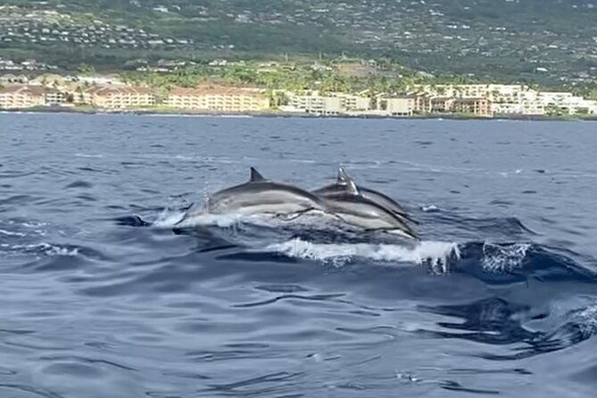 half-day-private-cruise-tour-with-snorkeling-in-kona