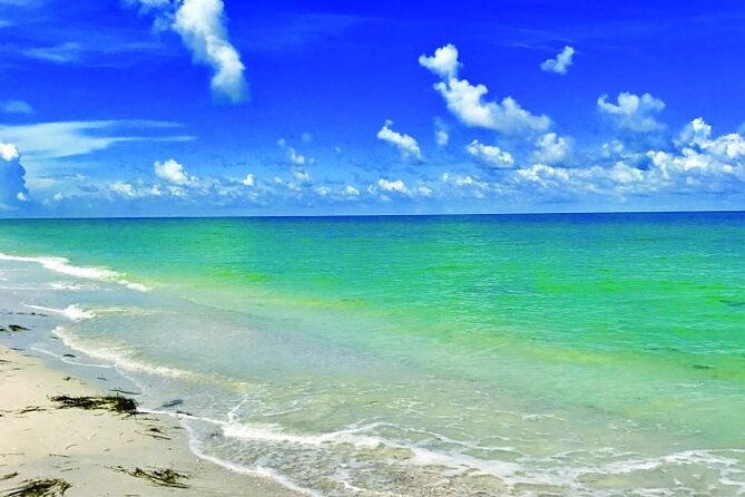half-day-private-guided-nature-of-floridas-gulf-coast-eco-tour
