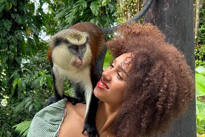 half-day-private-tour-in-grenada