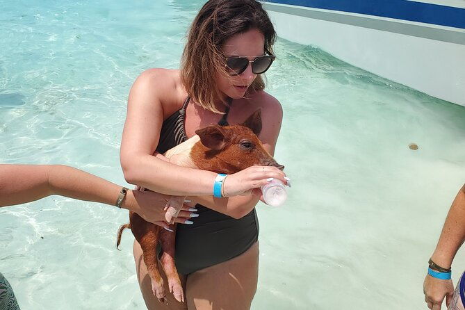 half-day-swiming-pigs-and-sharks-tour-nassau-to-exuma-by-plane