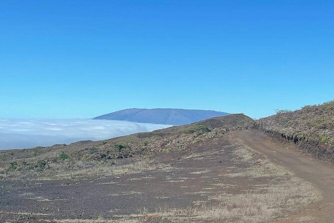 half-day-tour-in-sierra-negra-volcano-lava-fields