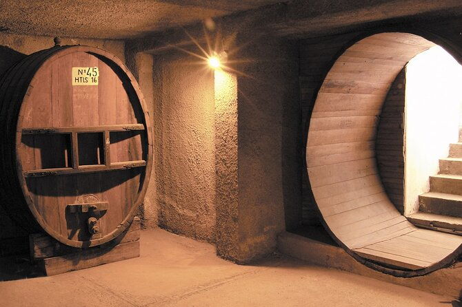 half-day-tour-of-wineries-and-olive-oil-with-lunch-from-mendoza
