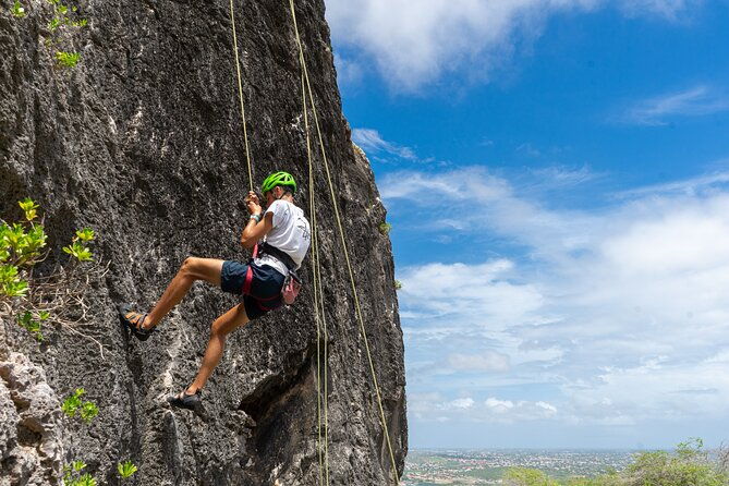 half-or-full-day-climbing-trip-at-the-tafelberg-curacao