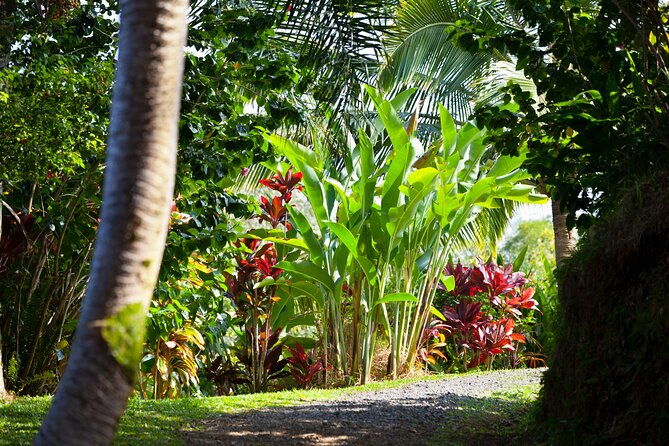 halfway-to-hana-waterfall-garden-of-eden-tour