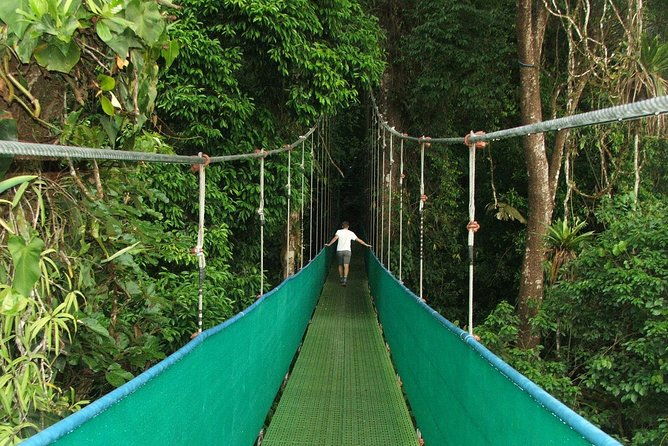 hanging-bridges-and-nature-preserve-at-tenorio-volcano