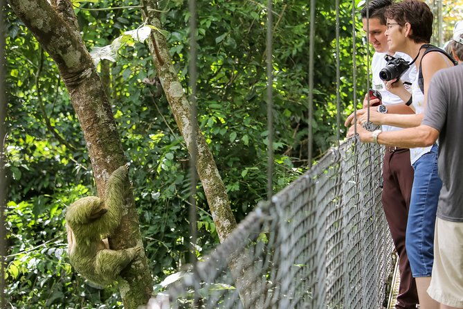 hanging-bridges-walk-in-arenal-volcano