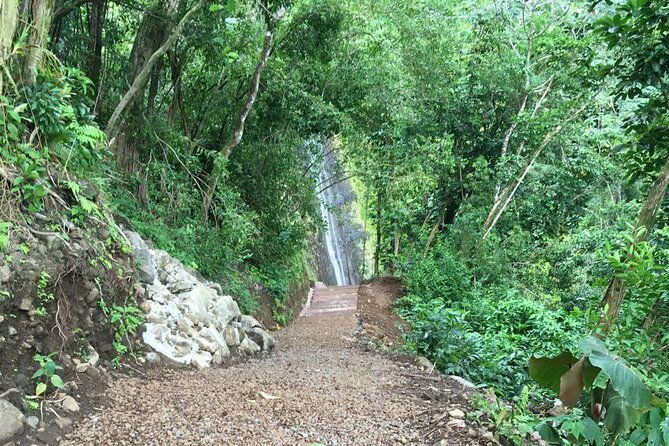 hawaiian-waterfall-hike-2