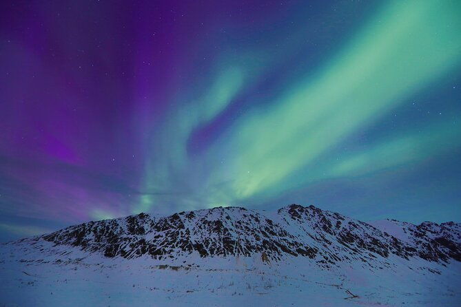 heated-and-enclosed-atv-tour-in-alaska-open-all-year-round-2