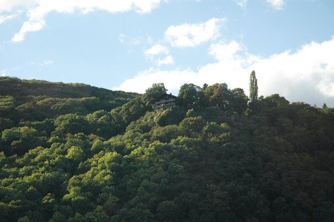 heidelberg-and-rhine-valley-day-trip-with-wine-tasting-and-dinner-from-frankfurt