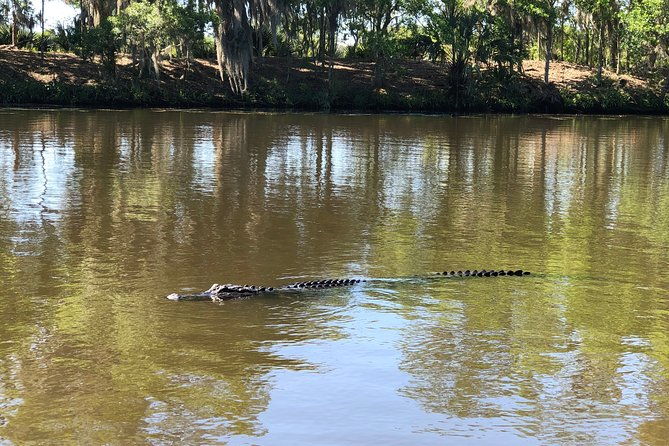 highlights-of-new-orleans-city-and-swamp-tour-combination