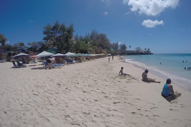 highlights-of-tobago-tour