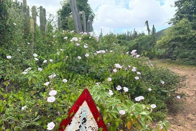 hike-goto-flamingo-meer-trail-explore-north-bonaire