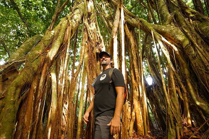 hike-honolua-ridgeline