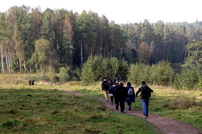hike-in-gauja-national-park-up-and-down-the-switzerland-of-latvia