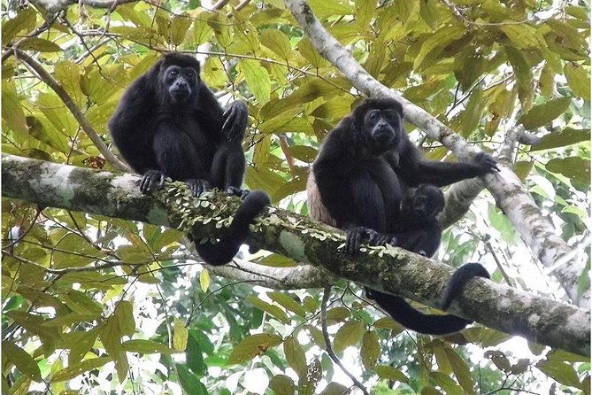 hike-in-the-gandoca-manzanillo-refuge