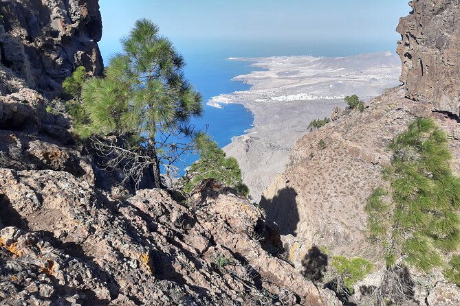 hiking-experience-in-the-north-of-gran-canaria