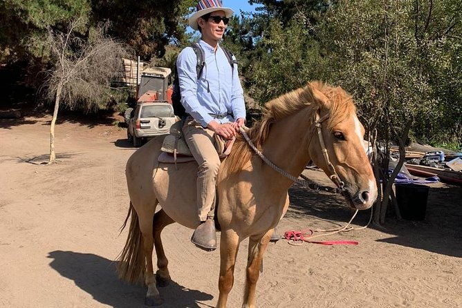 hiking-mauco-hill-horseride-ritoque-beachdunes-from-valparaiso