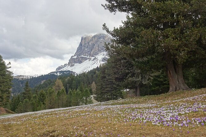 hiking-tour-in-the-world-natural-heritage-unesco-dolomites
