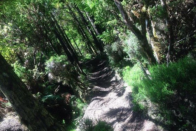 hiking-trail-rocha-do-chambre-terceira-island