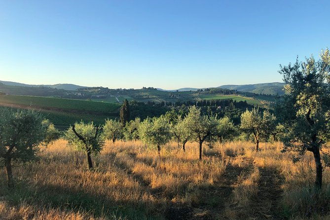 hiking-wine-tour-chianti-classico-3-organic-wineries-and-lunch