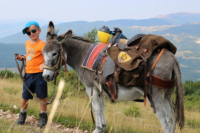 hiking-with-donkeys