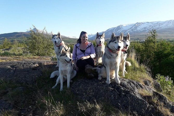 hiking-with-husky-in-akureyri-private
