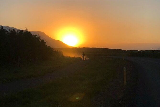 hiking-with-husky-in-akureyri