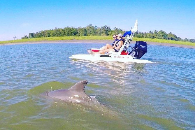 hilton-head-guided-sunset-creek-cat-tour