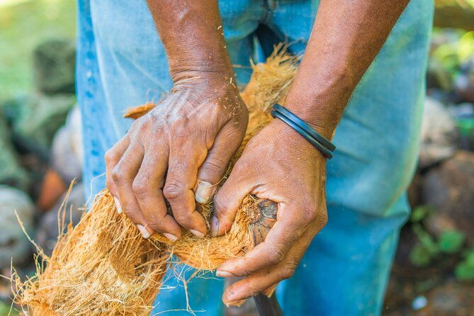 historical-18th-century-estate-tour-with-coconut-tasting