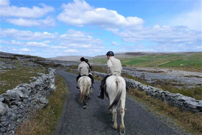 horse-riding-dirt-trek-trail-lisdoonvarna-clare-guided-1-hour-2