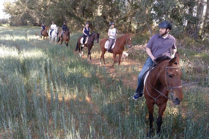 horse-riding-excursion-from-seville